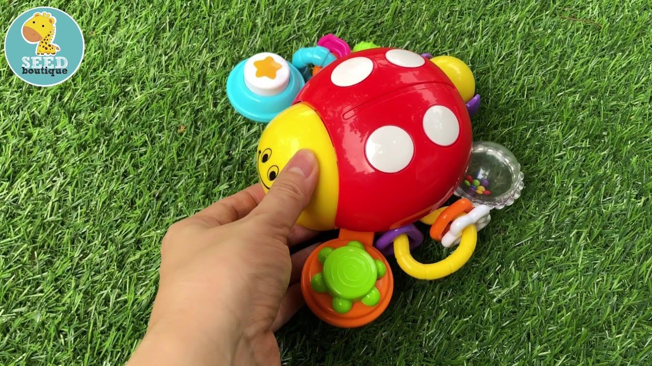 Bọ cánh cứng Winfun - Winfun Press n go activity - Winfun Ladybug activity