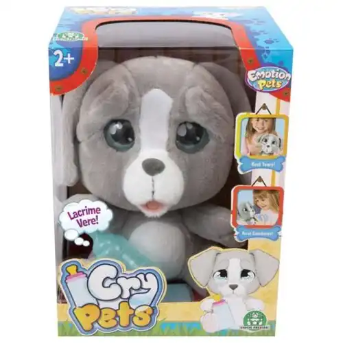 pas cry pet u kutiji