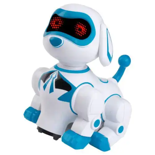 pas robot
