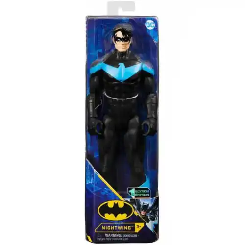 superjunak nightwing