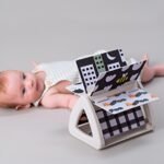 Edukativna knjiga za bebe Spinning