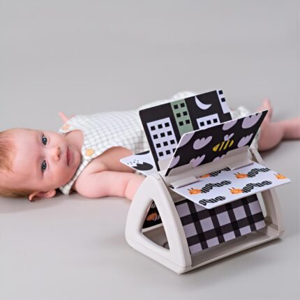 Edukativna knjiga za bebe Spinning